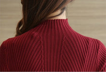 Load image into Gallery viewer, Basic winter body