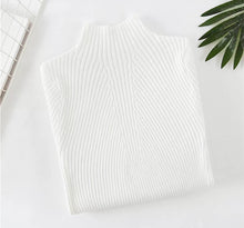 Load image into Gallery viewer, Basic winter body